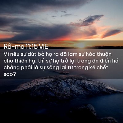 Picture 02 - Rô-ma 11:15 VIE - Vì nếu sự dứt bỏ họ ra đã làm sự - Bible Verse Picture
