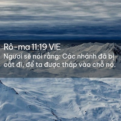 Picture 02 - Rô-ma 11:19 VIE - Ngươi sẽ nói rằng: Các nhánh đã bị - Bible Verse Picture