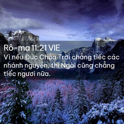 Picture 02 - Rô-ma 11:21 VIE - Vì nếu Đức Chúa Trời chẳng tiếc các - Bible Verse Picture