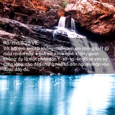 Picture 02 - Rô-ma 11:25 VIE - Vả, hỡi anh em, tôi không muốn anh em - Bible Verse Picture