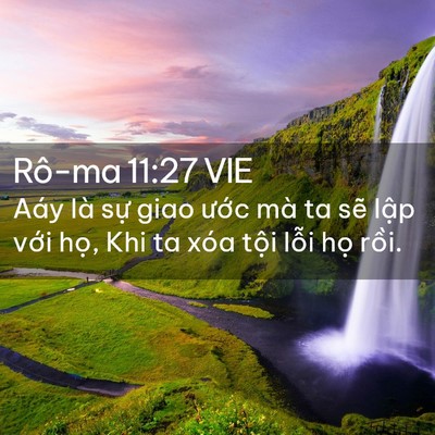 Picture 02 - Rô-ma 11:27 VIE - Aáy là sự giao ước mà ta sẽ lập với - Bible Verse Picture