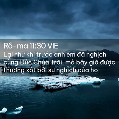 Picture 02 - Rô-ma 11:30 VIE - Lại như khi trước anh em đã nghịch - Bible Verse Picture
