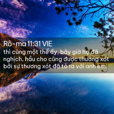 Picture 02 - Rô-ma 11:31 VIE - thì cũng một thể ấy, bây giờ họ đã - Bible Verse Picture