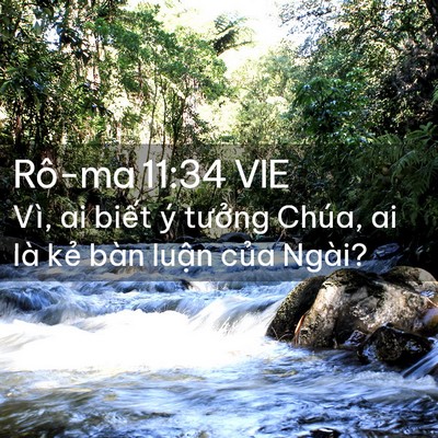 Picture 02 - Rô-ma 11:34 VIE - Vì, ai biết ý tưởng Chúa, ai là kẻ - Bible Verse Picture