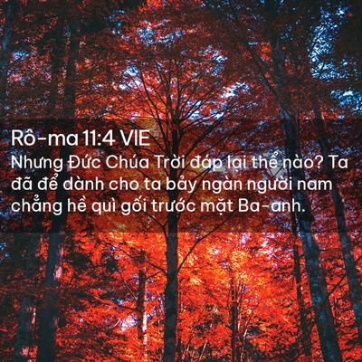 Picture 02 - Rô-ma 11:4 VIE - Nhưng Đức Chúa Trời đáp lại thể - Bible Verse Picture