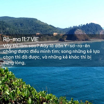 Picture 02 - Rô-ma 11:7 VIE - Vậy thì làm sao? Aáy là dân Y-sơ-ra-ên - Bible Verse Picture