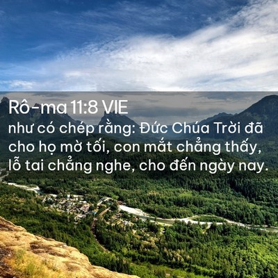 Picture 02 - Rô-ma 11:8 VIE - như có chép rằng: Đức Chúa Trời đã - Bible Verse Picture