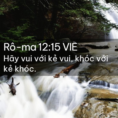 Picture 02 - Rô-ma 12:15 VIE - Hãy vui với kẻ vui, khóc với kẻ - Bible Verse Picture