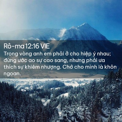 Picture 02 - Rô-ma 12:16 VIE - Trong vòng anh em phải ở cho hiệp ý nhau; - Bible Verse Picture