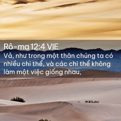 Picture 02 - Rô-ma 12:4 VIE - Vả, như trong một thân chúng ta có - Bible Verse Picture