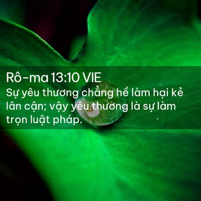 Picture 02 - Rô-ma 13:10 VIE - Sự yêu thương chẳng hề làm hại kẻ - Bible Verse Picture