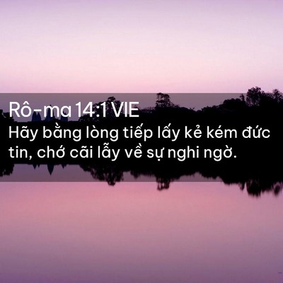Picture 02 - Rô-ma 14:1 VIE - Hãy bằng lòng tiếp lấy kẻ kém đức - Bible Verse Picture