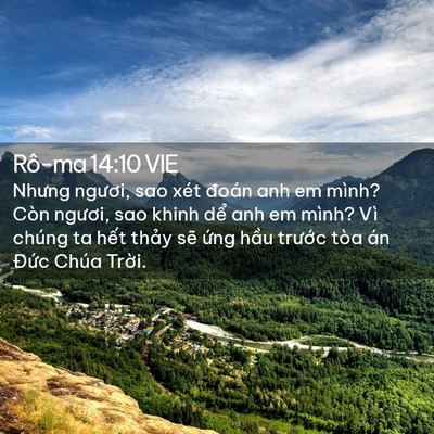 Picture 02 - Rô-ma 14:10 VIE - Nhưng ngươi, sao xét đoán anh em mình? - Bible Verse Picture
