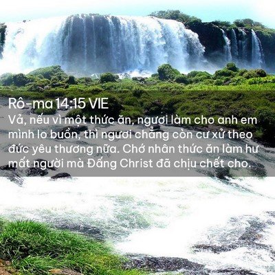 Picture 02 - Rô-ma 14:15 VIE - Vả, nếu vì một thức ăn, ngươi làm - Bible Verse Picture