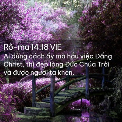Picture 02 - Rô-ma 14:18 VIE - Ai dùng cách ấy mà hầu việc Đấng - Bible Verse Picture