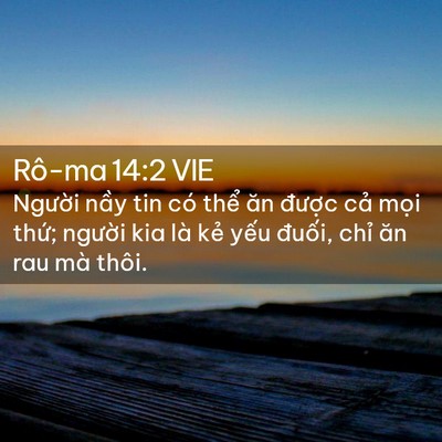 Picture 02 - Rô-ma 14:2 VIE - Người nầy tin có thể ăn được cả - Bible Verse Picture