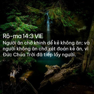 Picture 02 - Rô-ma 14:3 VIE - Người ăn chớ khinh dể kẻ không ăn; - Bible Verse Picture