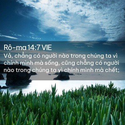 Picture 02 - Rô-ma 14:7 VIE - Vả, chẳng có người nào trong chúng ta - Bible Verse Picture