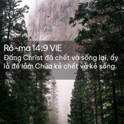 Picture 02 - Rô-ma 14:9 VIE - Đấng Christ đã chết và sống lại, ấy - Bible Verse Picture