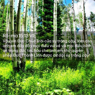 Picture 02 - Rô-ma 15:13 VIE - Vậy xin Đức Chúa Trời của sự trông - Bible Verse Picture