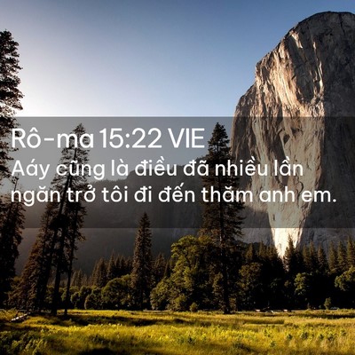 Picture 02 - Rô-ma 15:22 VIE - Aáy cũng là điều đã nhiều lần ngăn - Bible Verse Picture