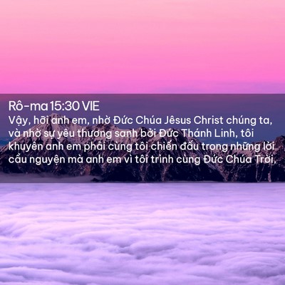 Picture 02 - Rô-ma 15:30 VIE - Vậy, hỡi anh em, nhờ Đức Chúa Jêsus - Bible Verse Picture
