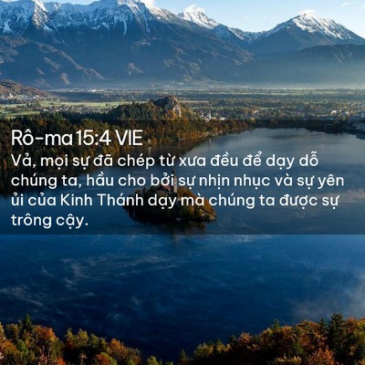 Picture 02 - Rô-ma 15:4 VIE - Vả, mọi sự đã chép từ xưa đều - Bible Verse Picture