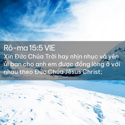 Picture 02 - Rô-ma 15:5 VIE - Xin Đức Chúa Trời hay nhịn nhục và - Bible Verse Picture