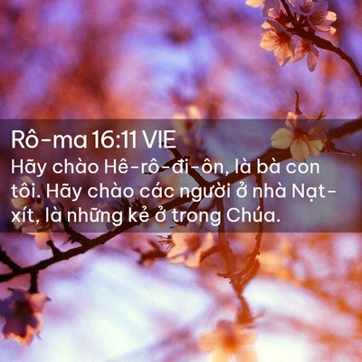 Picture 02 - Rô-ma 16:11 VIE - Hãy chào Hê-rô-đi-ôn, là bà con tôi. - Bible Verse Picture