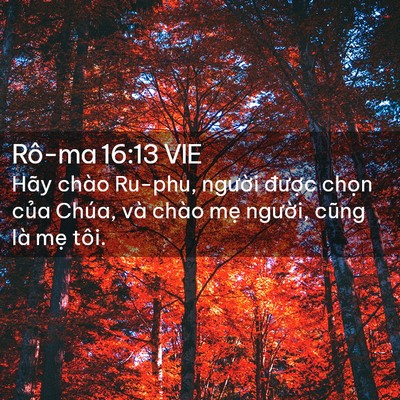 Picture 02 - Rô-ma 16:13 VIE - Hãy chào Ru-phu, người được chọn của - Bible Verse Picture