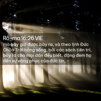 Picture 02 - Rô-ma 16:26 VIE - mà bây giờ được bày ra, và theo lịnh - Bible Verse Picture