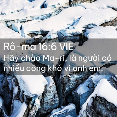 Picture 02 - Rô-ma 16:6 VIE - Hãy chào Ma-ri, là người có nhiều công - Bible Verse Picture