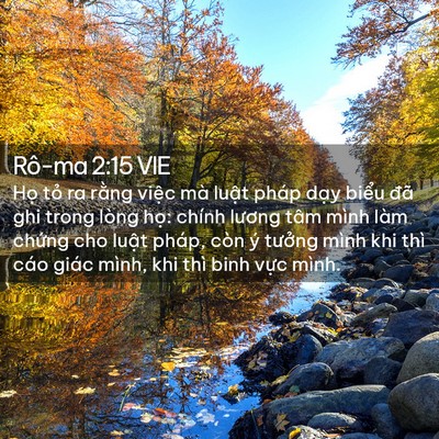 Picture 02 - Rô-ma 2:15 VIE - Họ tỏ ra rằng việc mà luật pháp dạy - Bible Verse Picture