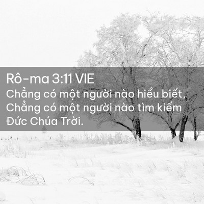 Picture 02 - Rô-ma 3:11 VIE - Chẳng có một người nào hiểu biết, - Bible Verse Picture