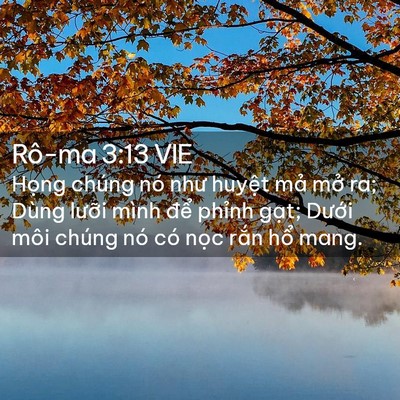 Picture 02 - Rô-ma 3:13 VIE - Họng chúng nó như huyệt mả mở ra; - Bible Verse Picture