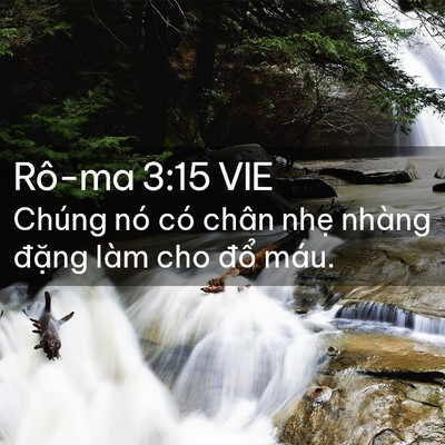 Picture 02 - Rô-ma 3:15 VIE - Chúng nó có chân nhẹ nhàng đặng làm - Bible Verse Picture