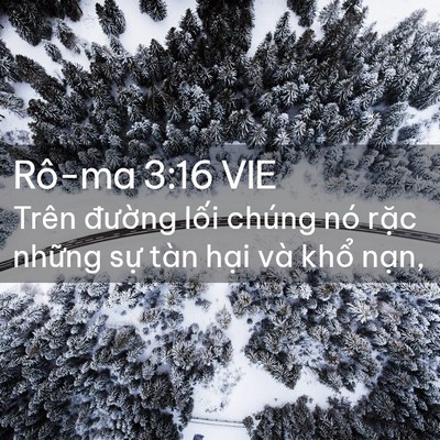 Picture 02 - Rô-ma 3:16 VIE - Trên đường lối chúng nó rặc những - Bible Verse Picture
