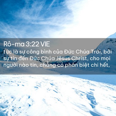 Picture 02 - Rô-ma 3:22 VIE - tức là sự công bình của Đức Chúa - Bible Verse Picture