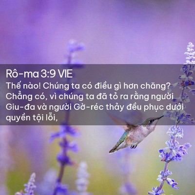 Picture 02 - Rô-ma 3:9 VIE - Thế nào! Chúng ta có điều gì hơn - Bible Verse Picture