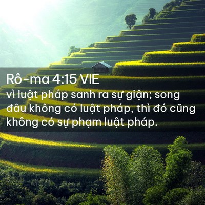 Picture 02 - Rô-ma 4:15 VIE - vì luật pháp sanh ra sự giận; song đâu - Bible Verse Picture