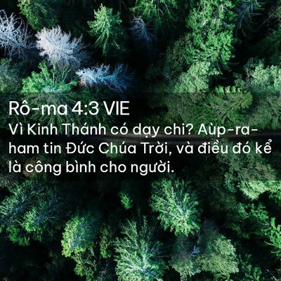 Picture 02 - Rô-ma 4:3 VIE - Vì Kinh Thánh có dạy chi? Aùp-ra-ham tin - Bible Verse Picture