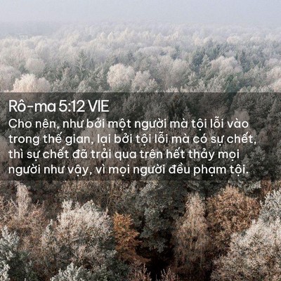 Picture 02 - Rô-ma 5:12 VIE - Cho nên, như bởi một người mà tội - Bible Verse Picture