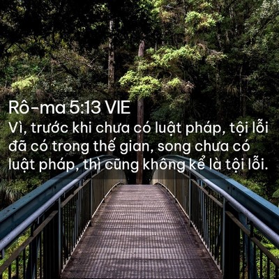 Picture 02 - Rô-ma 5:13 VIE - Vì, trước khi chưa có luật pháp, tội - Bible Verse Picture