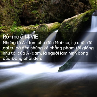 Picture 02 - Rô-ma 5:14 VIE - Nhưng từ A-đam cho đến Môi-se, sự - Bible Verse Picture