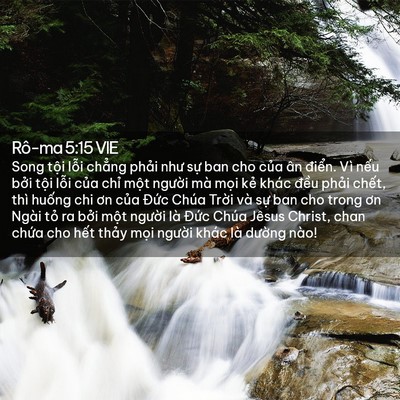 Picture 02 - Rô-ma 5:15 VIE - Song tội lỗi chẳng phải như sự ban cho - Bible Verse Picture