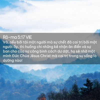 Picture 02 - Rô-ma 5:17 VIE - Vả, nếu bởi tội một người mà sự - Bible Verse Picture