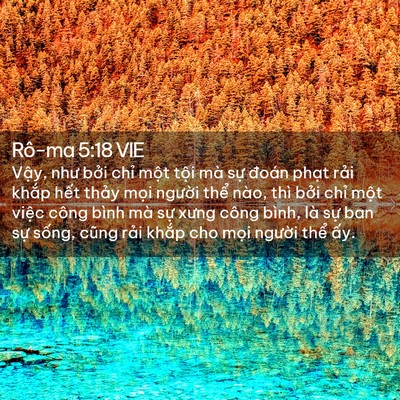 Picture 02 - Rô-ma 5:18 VIE - Vậy, như bởi chỉ một tội mà sự - Bible Verse Picture