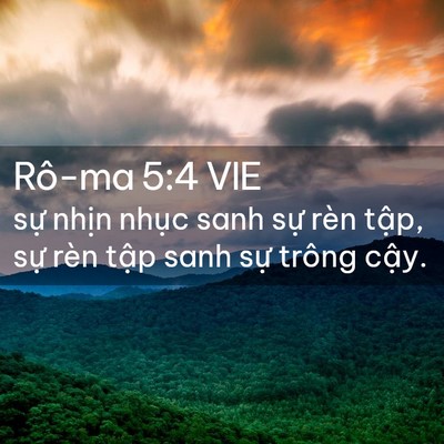Picture 02 - Rô-ma 5:4 VIE - sự nhịn nhục sanh sự rèn tập, sự - Bible Verse Picture