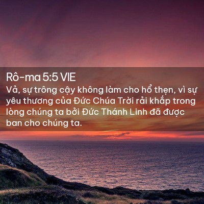 Picture 02 - Rô-ma 5:5 VIE - Vả, sự trông cậy không làm cho hổ - Bible Verse Picture