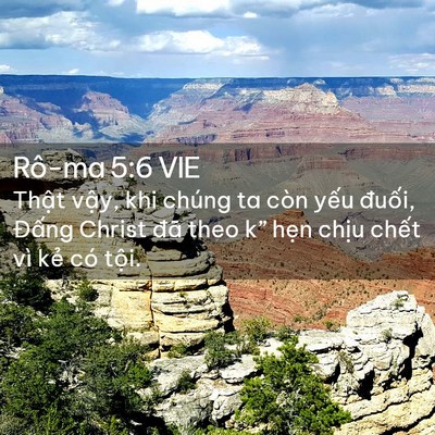 Picture 02 - Rô-ma 5:6 VIE - Thật vậy, khi chúng ta còn yếu đuối, - Bible Verse Picture